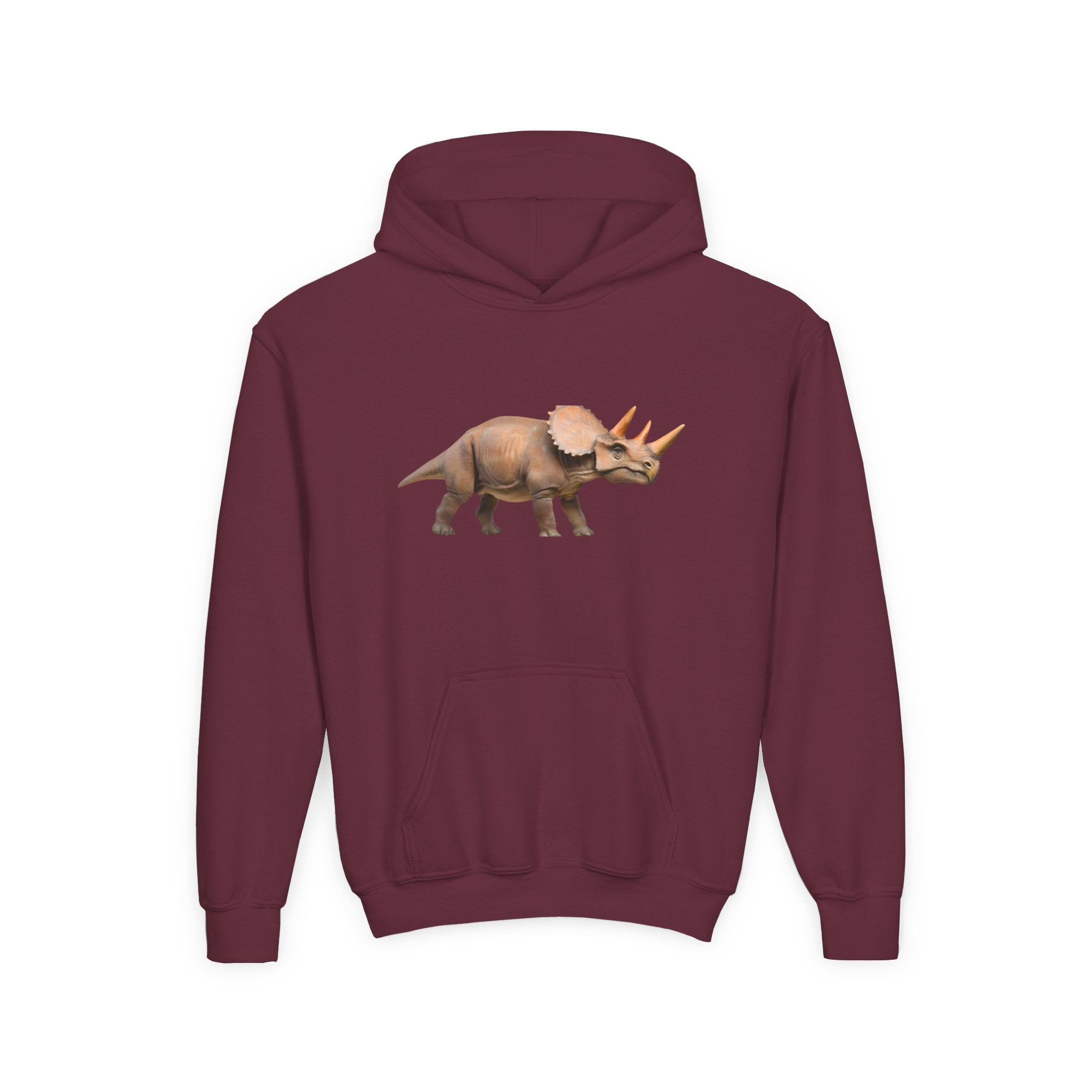 Dino Era Youth Hoodie — Kids' Dinosaur Graphic Sweatshirt