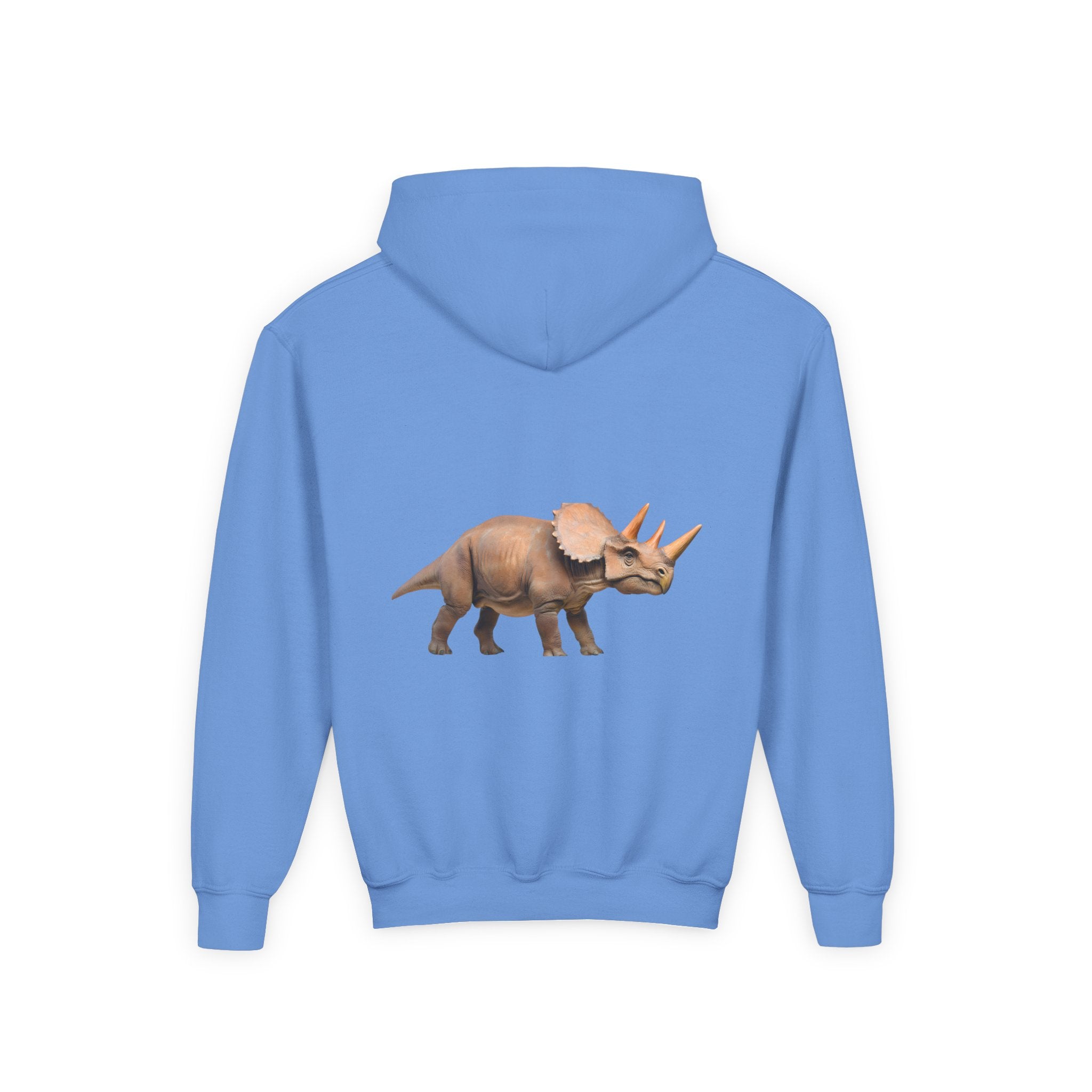 Dino Era Youth Hoodie — Kids' Dinosaur Graphic Sweatshirt
