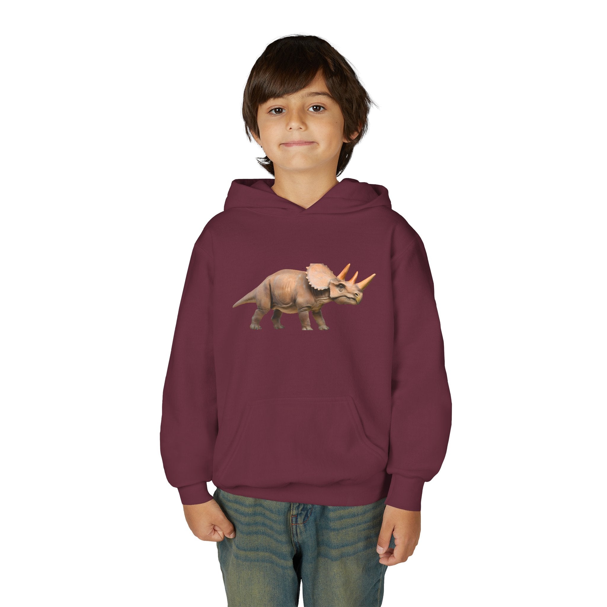 Dino Era Youth Hoodie — Kids' Dinosaur Graphic Sweatshirt