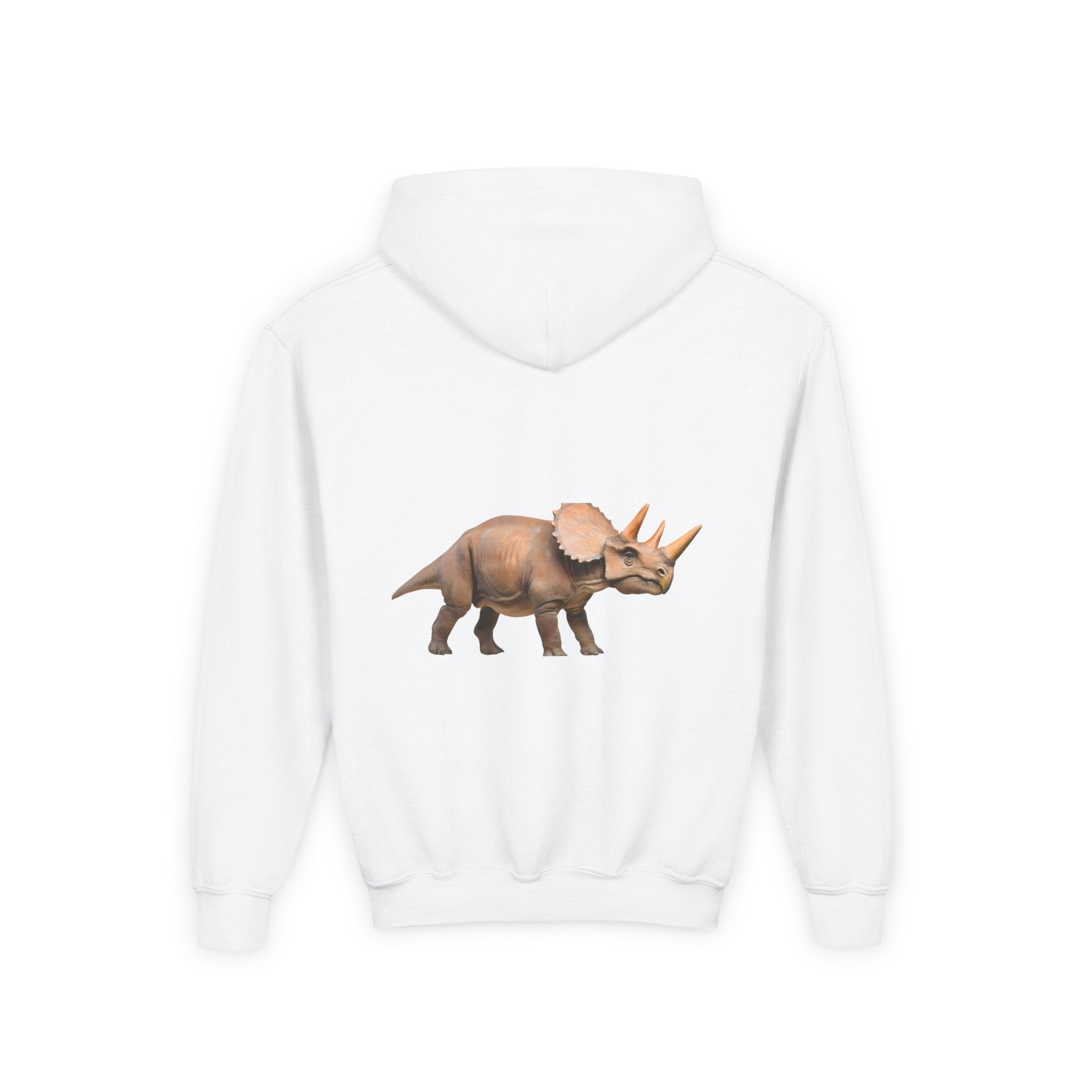 Dino Era Youth Hoodie — Kids' Dinosaur Graphic Sweatshirt