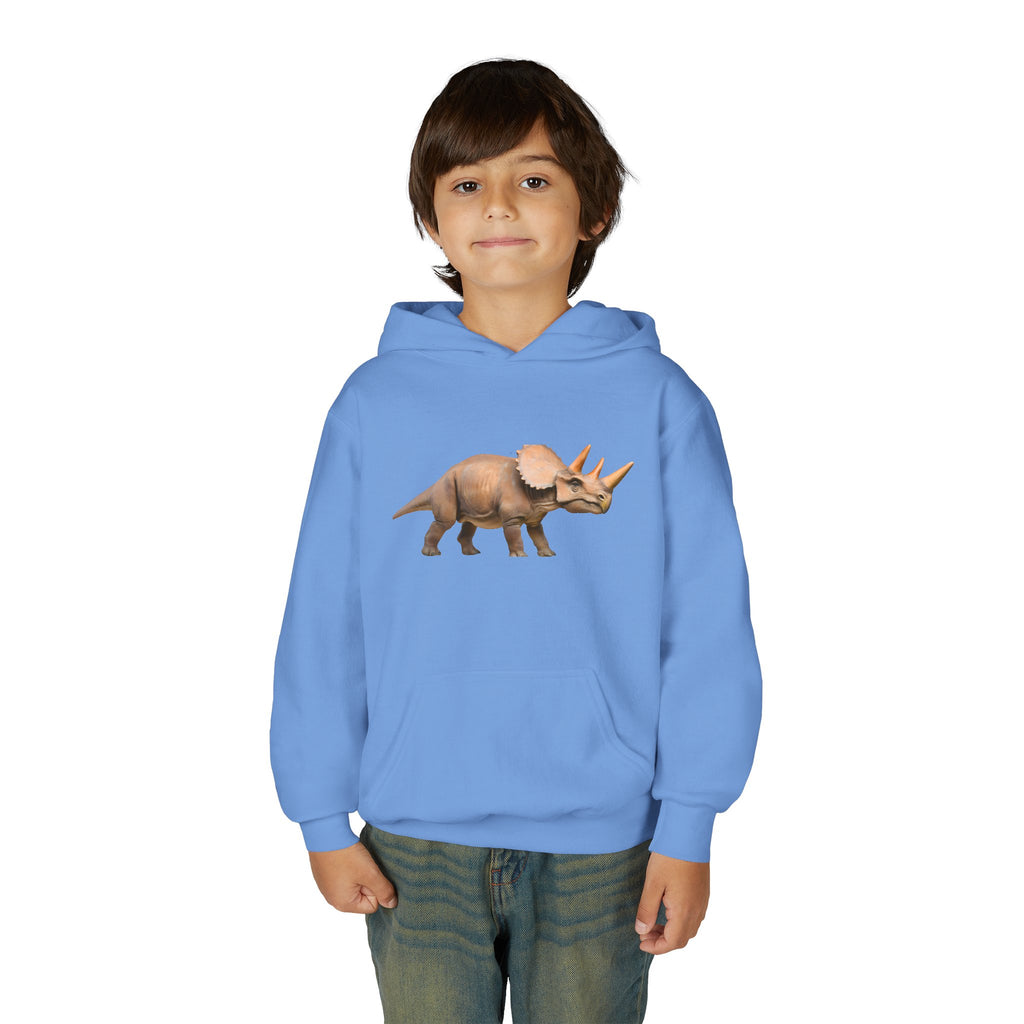 Dino Era Youth Hoodie — Kids' Dinosaur Graphic Sweatshirt