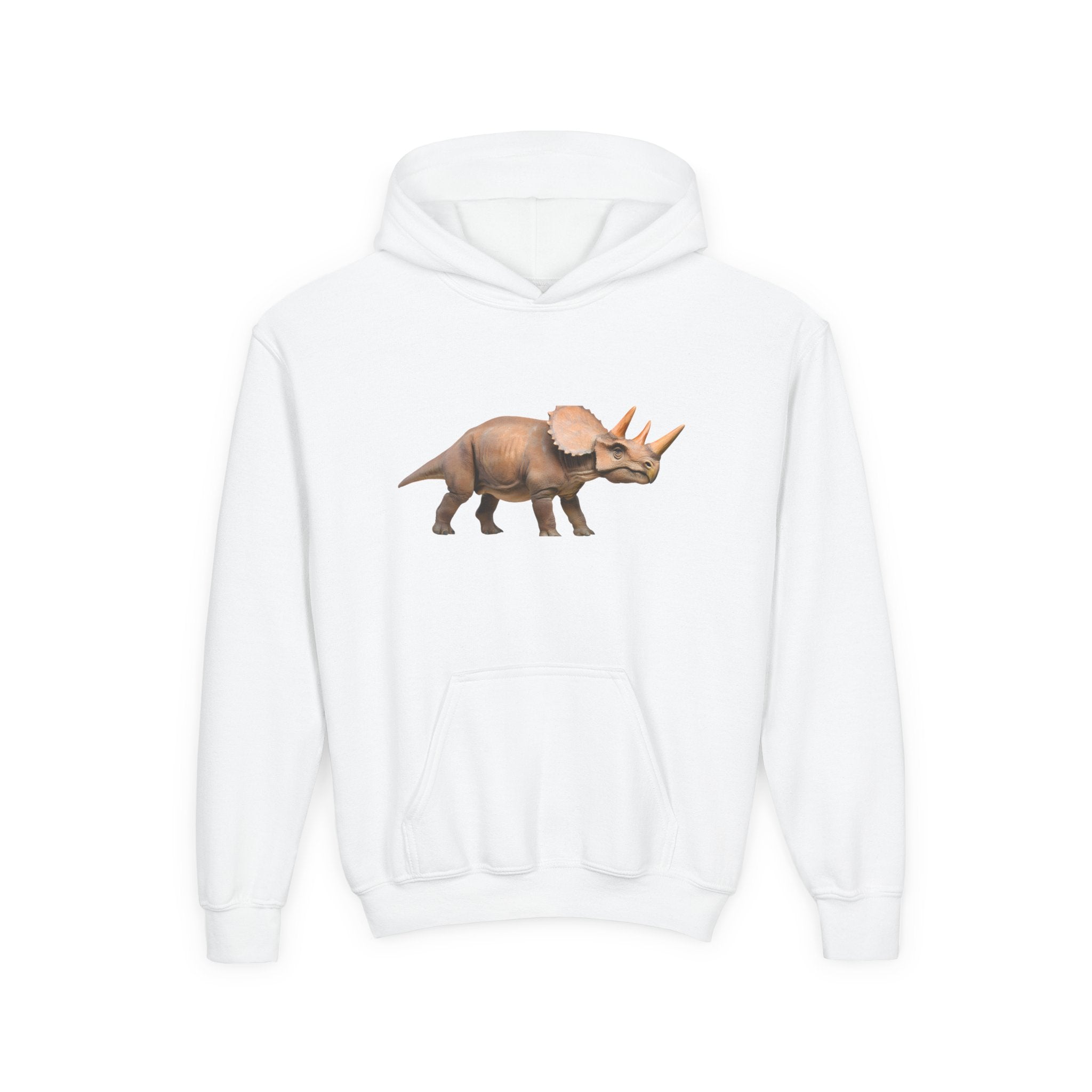 Dino Era Youth Hoodie — Kids' Dinosaur Graphic Sweatshirt