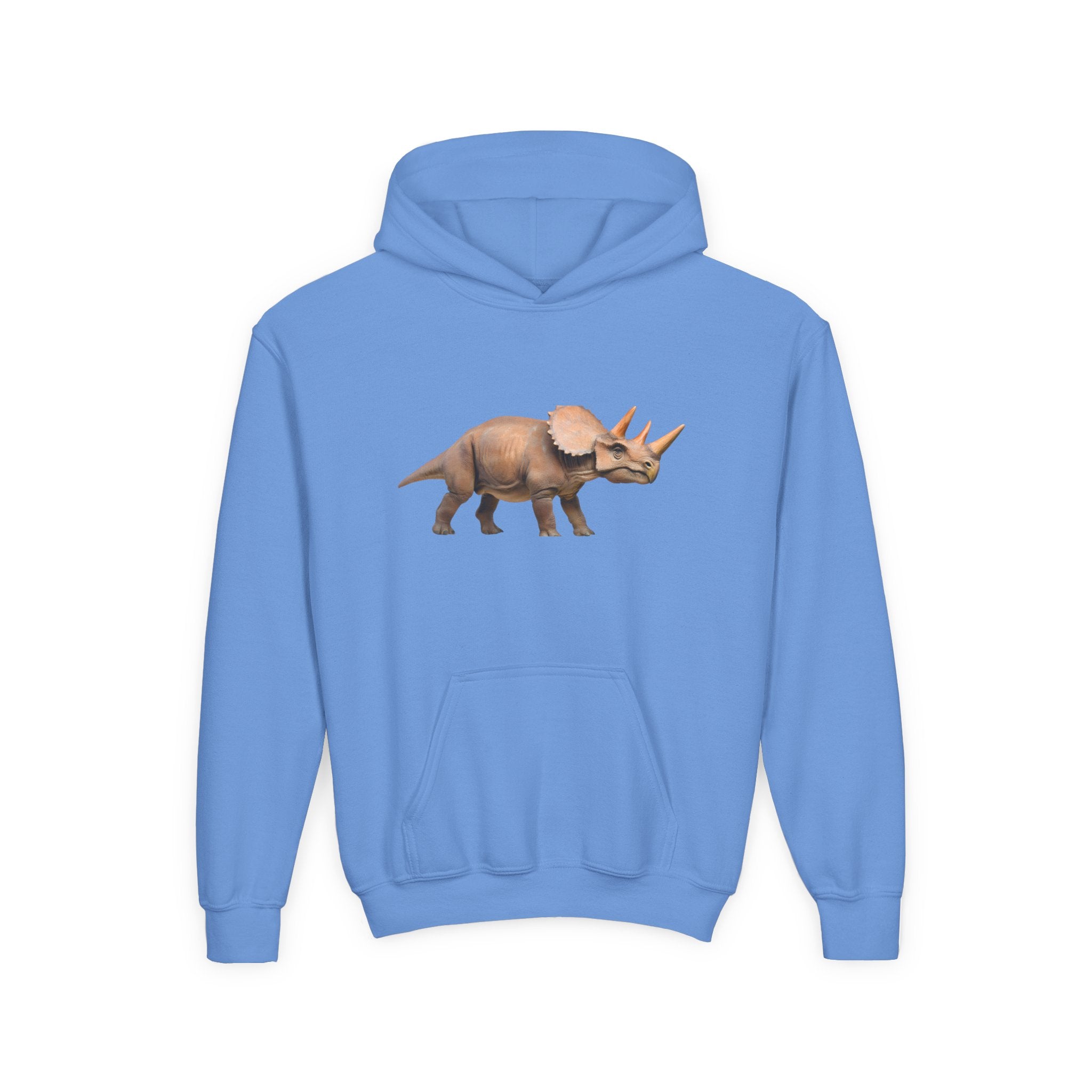 Dino Era Youth Hoodie — Kids' Dinosaur Graphic Sweatshirt