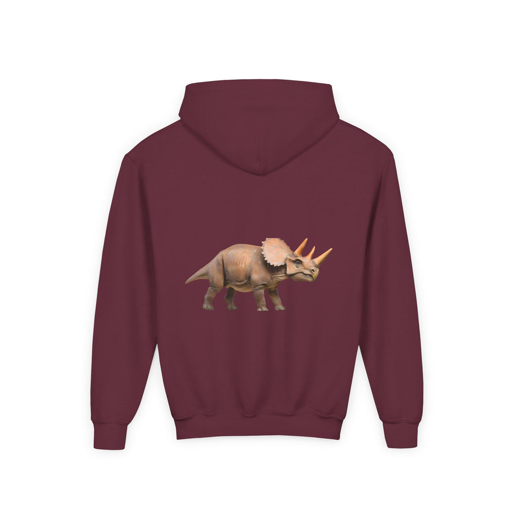 Dino Era Youth Hoodie — Kids' Dinosaur Graphic Sweatshirt