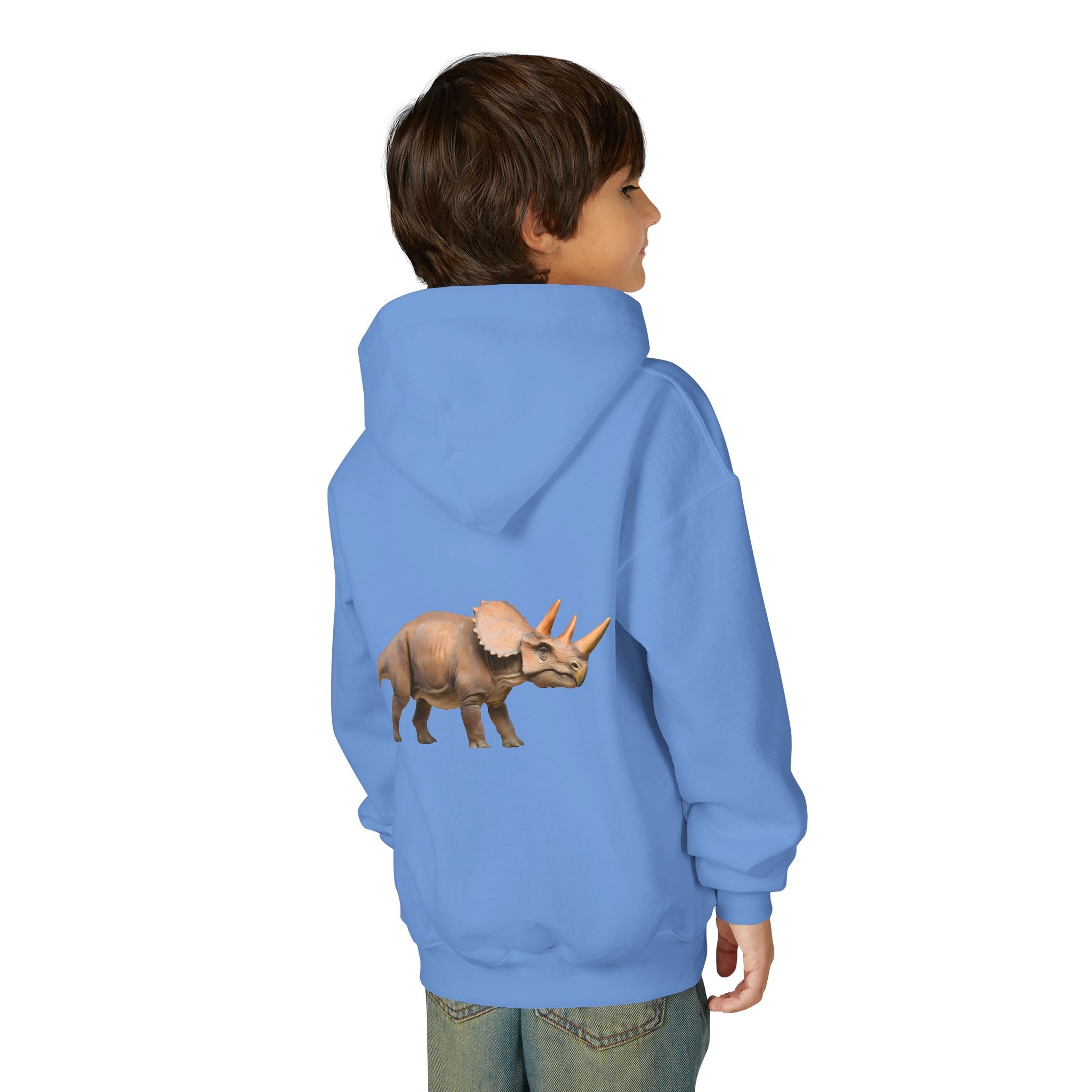 Dino Era Youth Hoodie — Kids' Dinosaur Graphic Sweatshirt