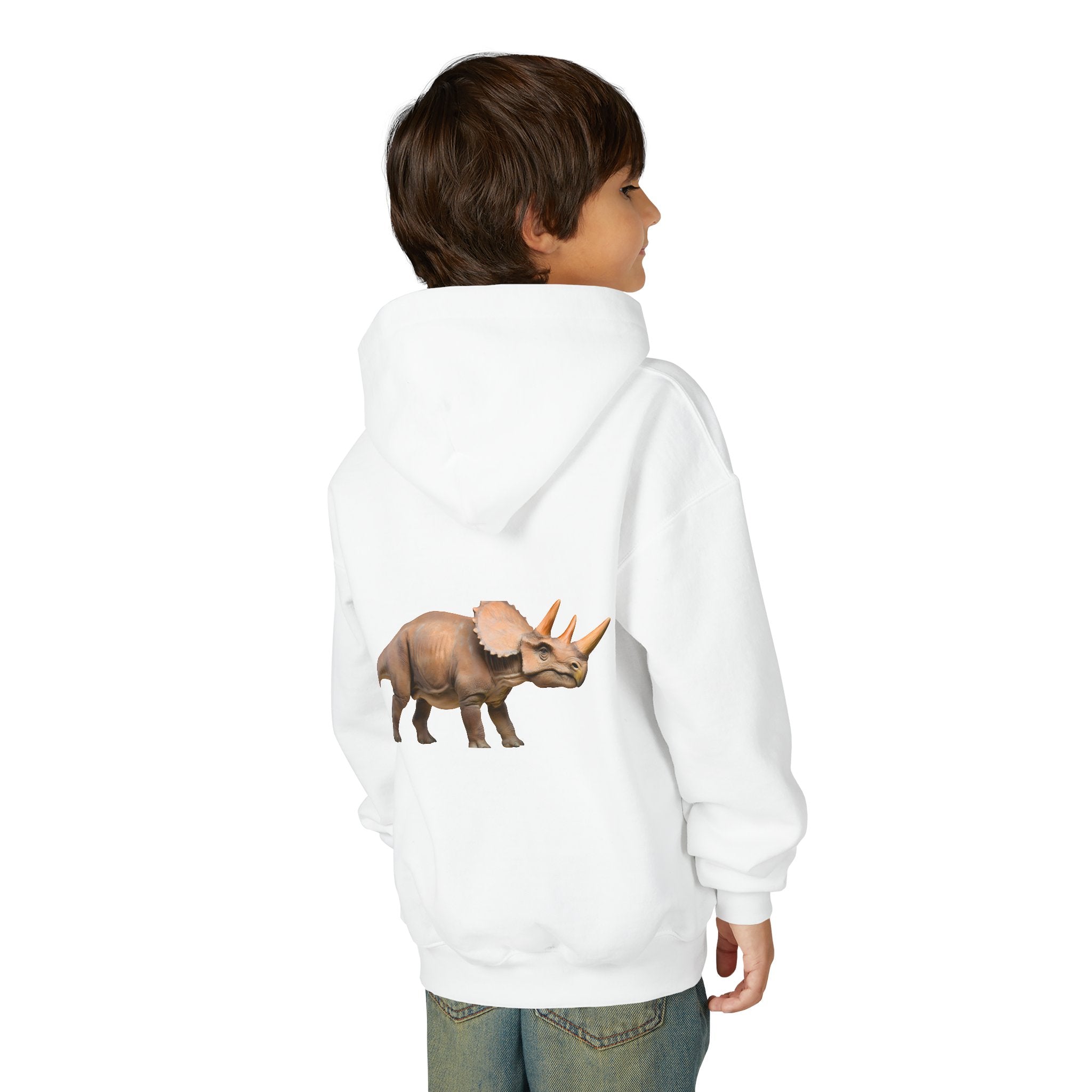 Dino Era Youth Hoodie — Kids' Dinosaur Graphic Sweatshirt