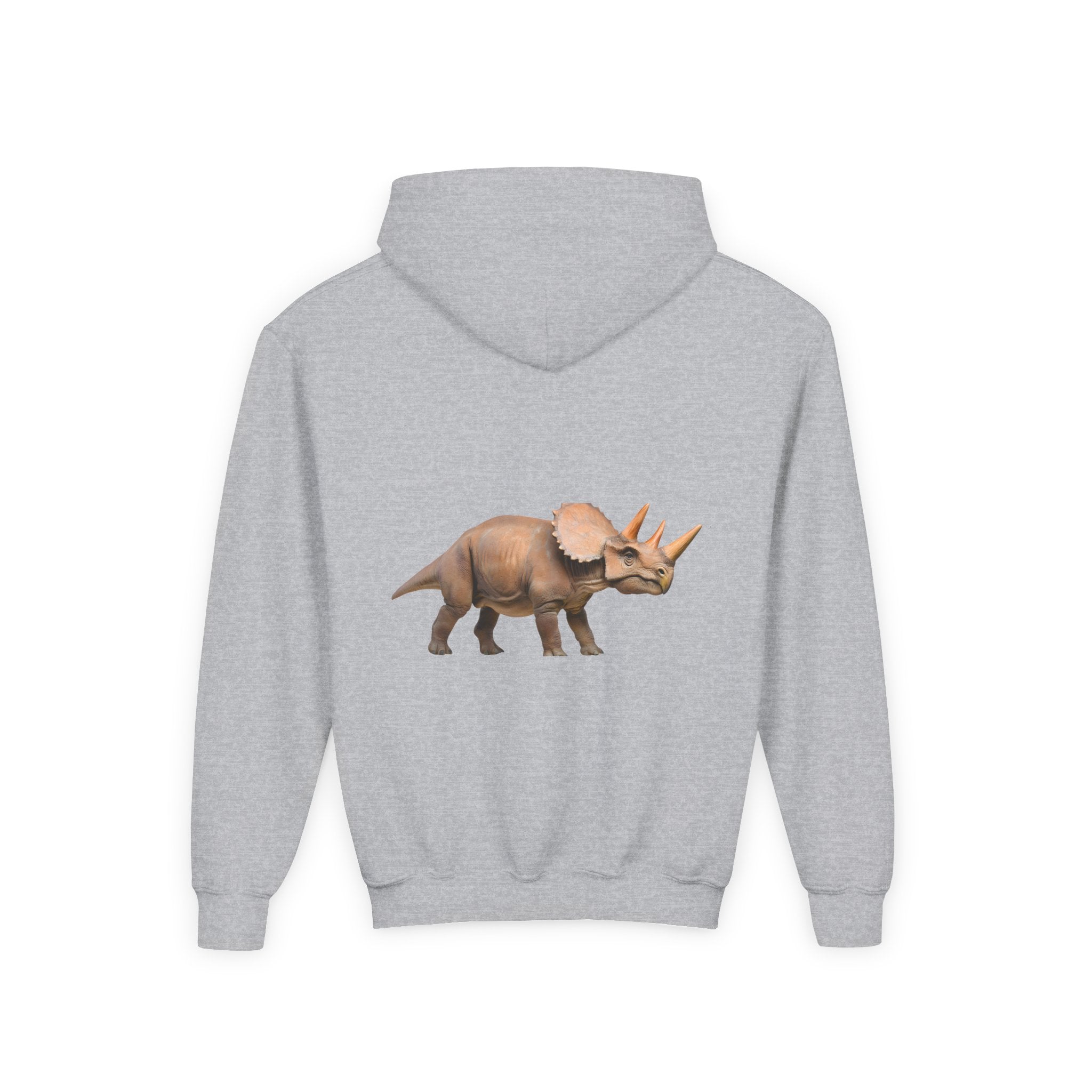 Dino Era Youth Hoodie — Kids' Dinosaur Graphic Sweatshirt